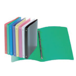 Classeur polypro 4 anneaux, dos de 2 cm <h5>219</h5>